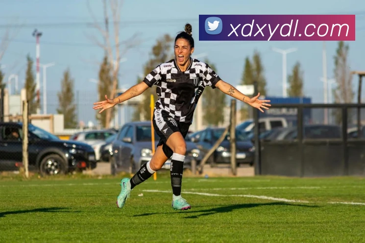 米兰体育app官网登录APP 封面图