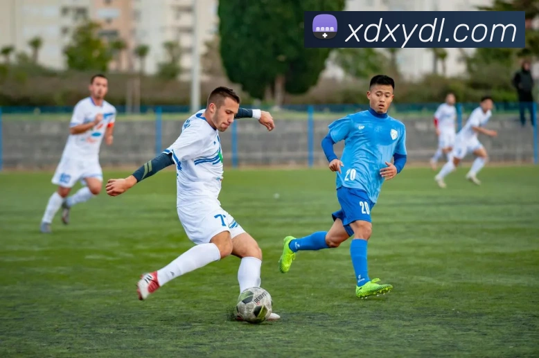 数据防护可视化